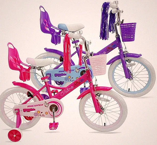 Princess 16" Girl Bicycle Safe Training Wheels & Brake Doll Carrier Bell Fenders